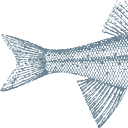 Bristol Seafood Grill logo