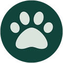 Buddypetfoods SE logo