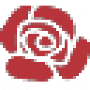 99flower Kr logo